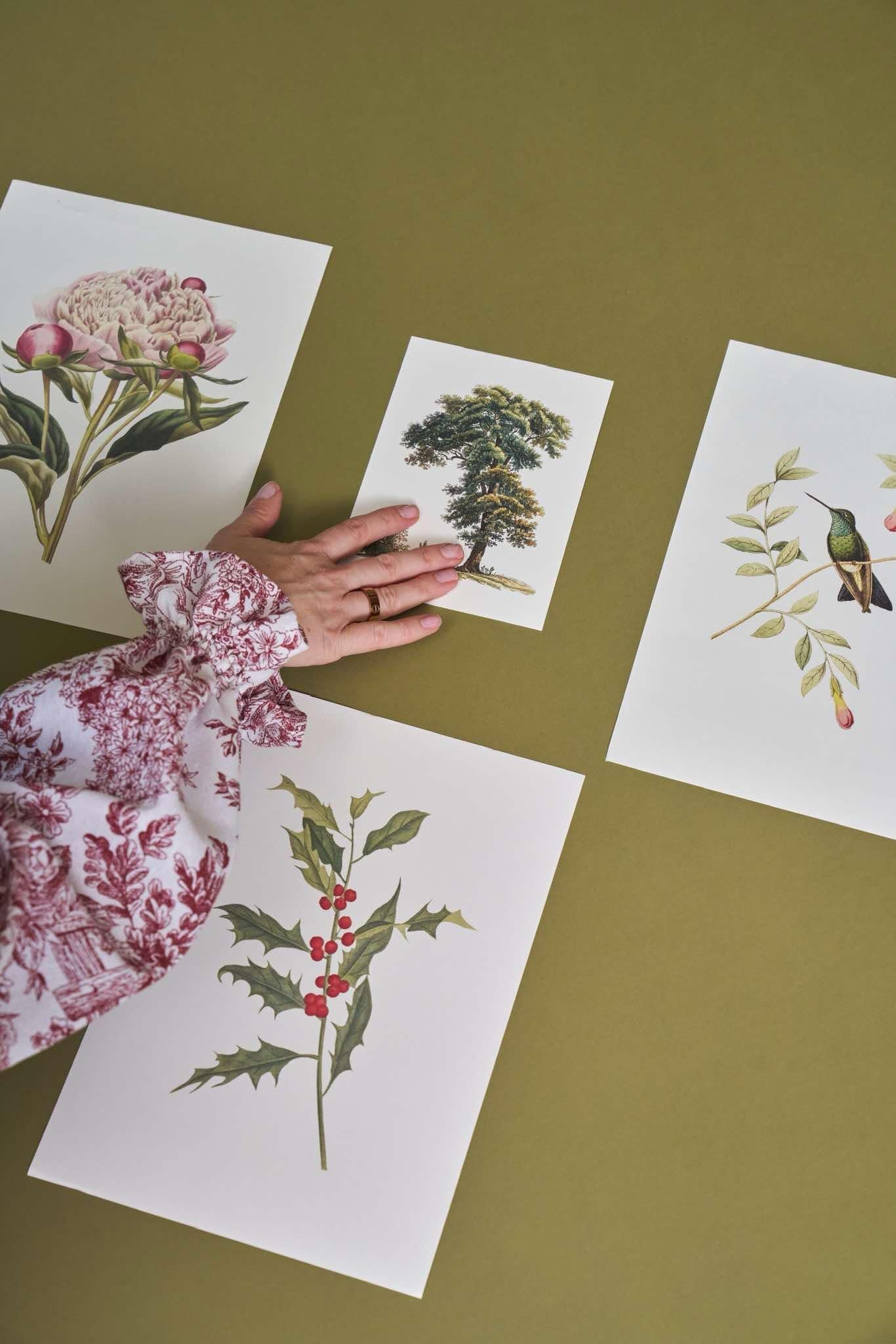 Vintage Botanical Small Prints