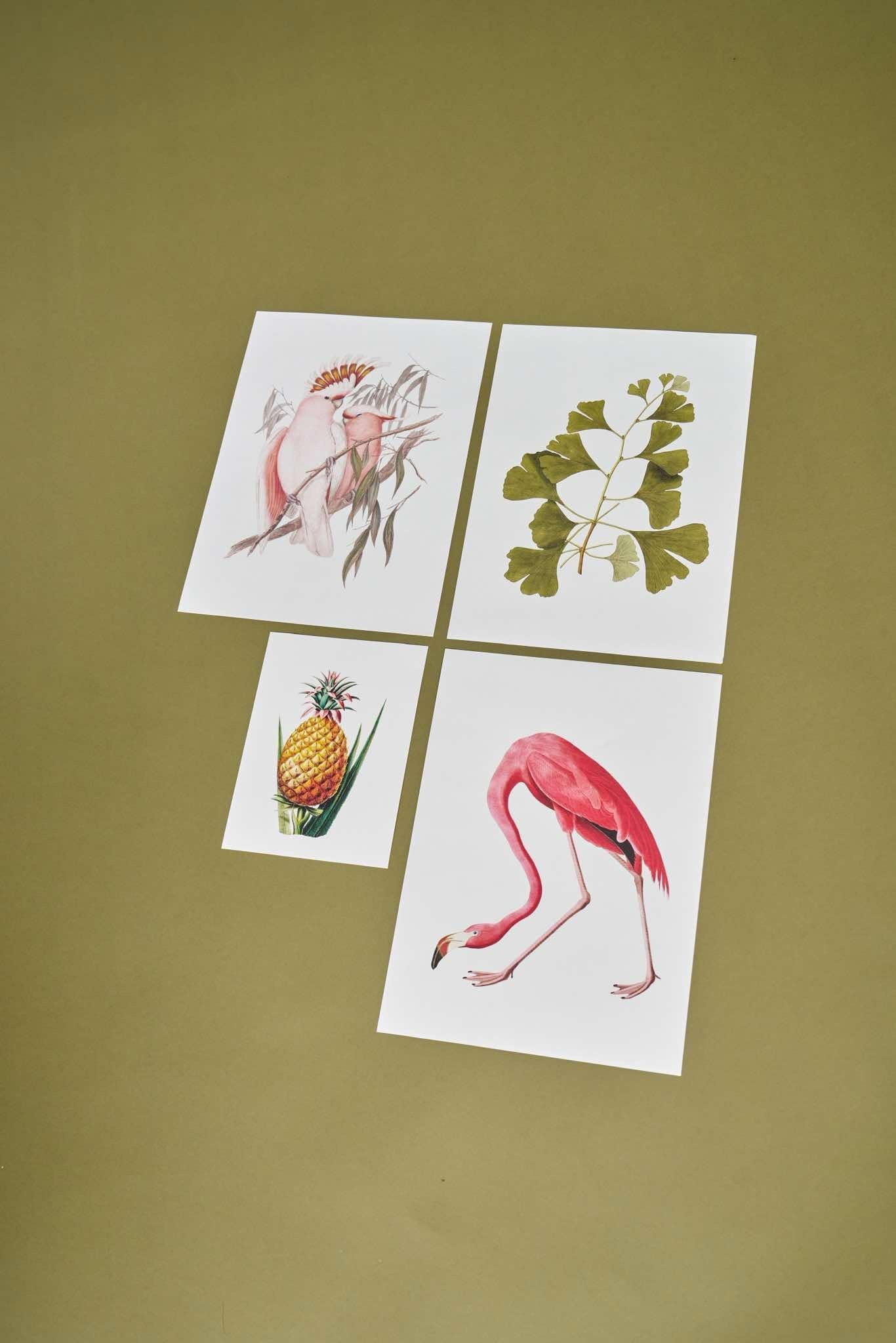 Vintage Botanical Prints A4